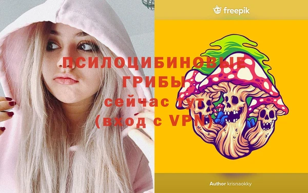 ПСИЛОЦИБИНОВЫЕ ГРИБЫ Алексин