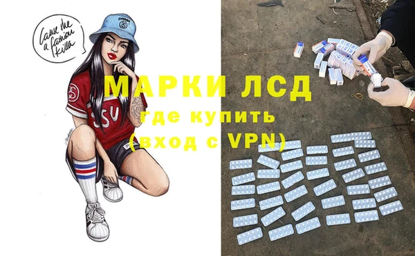 ПСИЛОЦИБИНОВЫЕ ГРИБЫ Алексин
